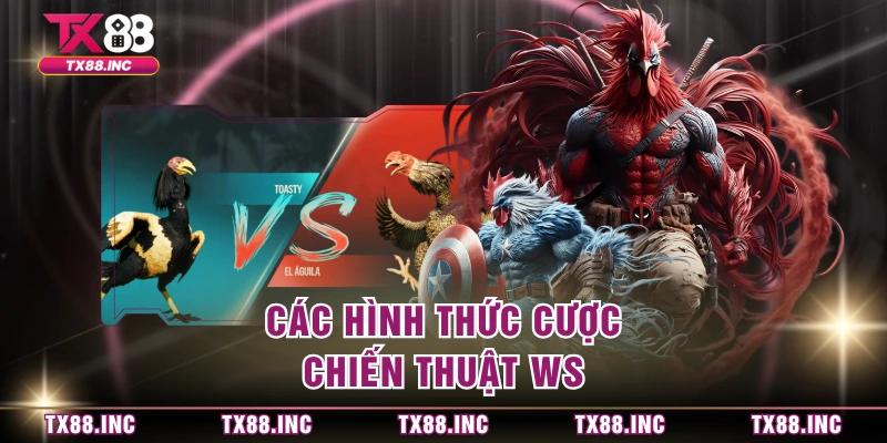 Các hình thức cược chiến thuật WS