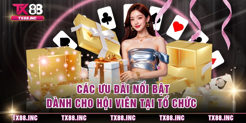 Các ưu đãi nổi bật dành cho hội viên tại tổ chức