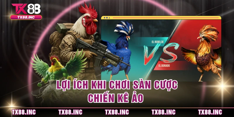 Lợi ích khi chơi sàn cược chiến kê ảo 