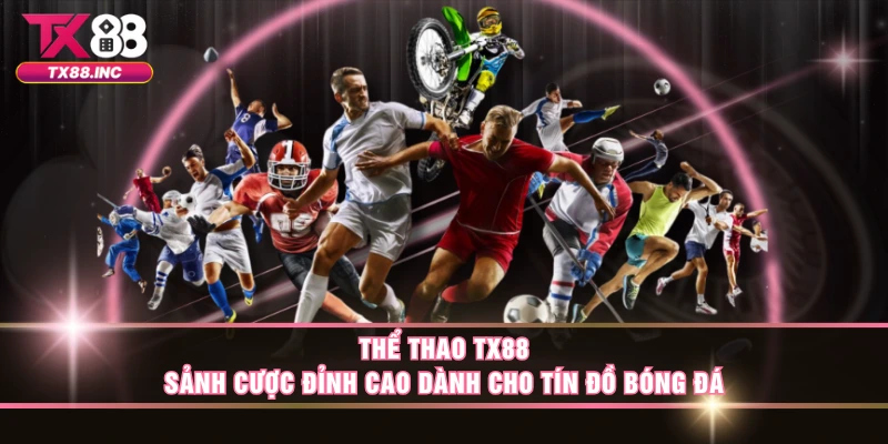 Một số thông tin cơ bản về sảnh sport nhà cái