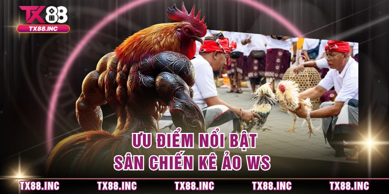Ưu điểm nổi bật sân chiến kê ảo WS