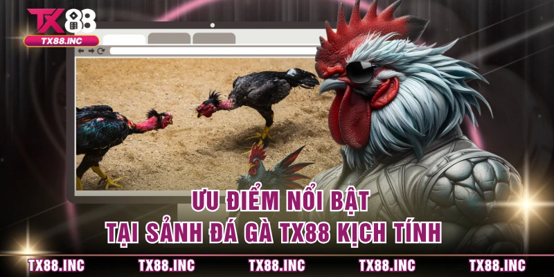  Ưu điểm nổi bật tại sảnh đá gà TX88 kịch tính 